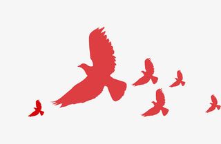 简约飞舞鸽子免抠装饰动物元素