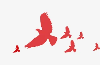 简约飞舞鸽子免抠装饰动物元素