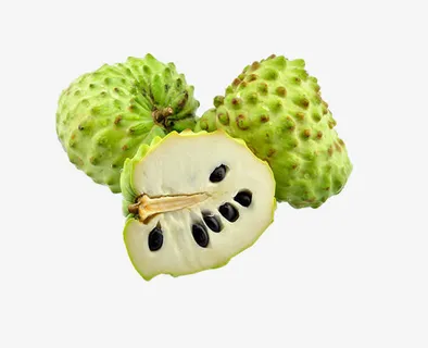 免抠素材释迦果图片免抠