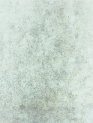 茂密树丛元素免抠