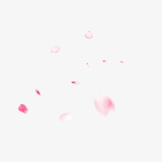 漂浮元素粉色花瓣叶子免抠
