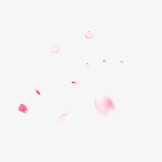 漂浮元素粉色花瓣叶子免抠