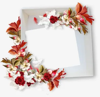 鲜花白色边框免抠