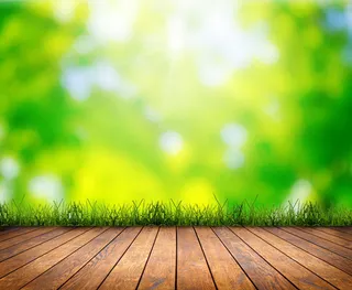 绿叶植物地板淘宝主图背景素材高清