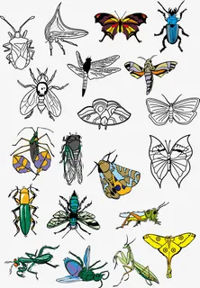 各种昆虫合集免抠