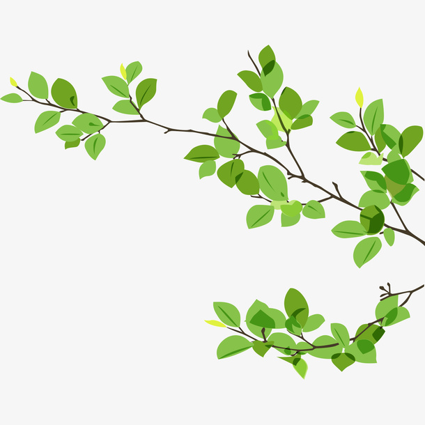 树枝树叶免抠