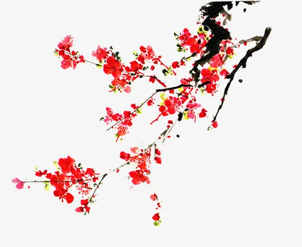 手绘新年红梅树枝免抠
