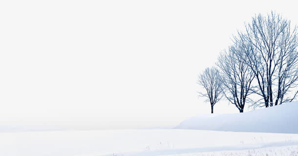 美丽的雪景免抠