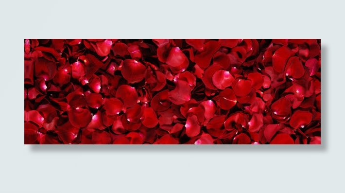 通用海报背景banner