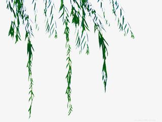 手绘水墨中国风柳树免抠