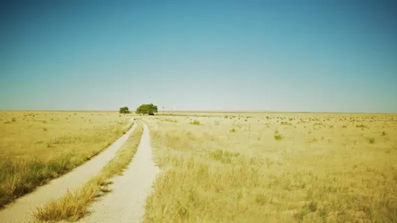 黄色土路精美壁纸免抠 黄色土路精美壁纸免抠