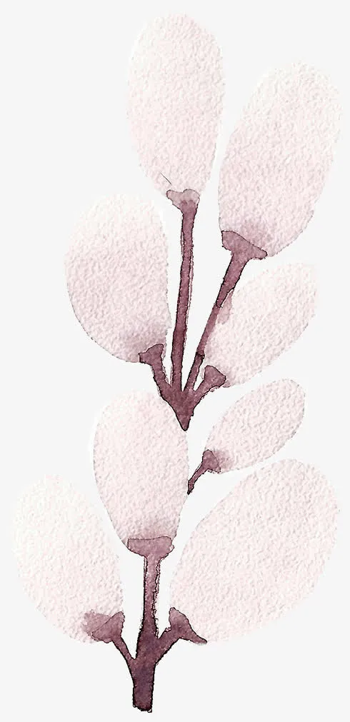 树枝免抠