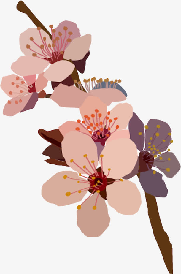 手绘花朵免抠