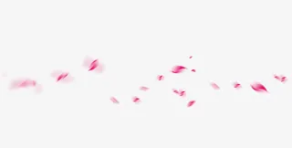 飘浮花瓣免抠
