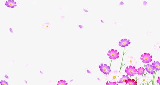 春天手绘花朵花瓣免抠