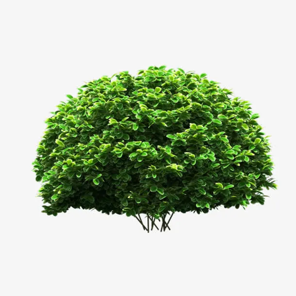 平面灌木免抠