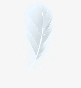 矢量白色羽毛免抠