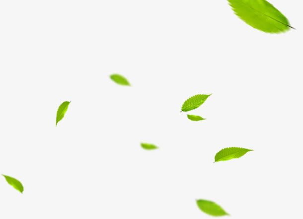 绿色漂浮树叶素材免抠