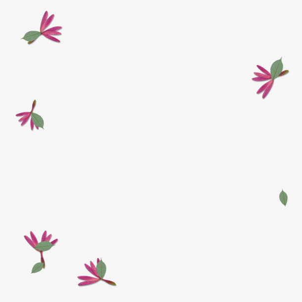 花瓣漂浮物免抠