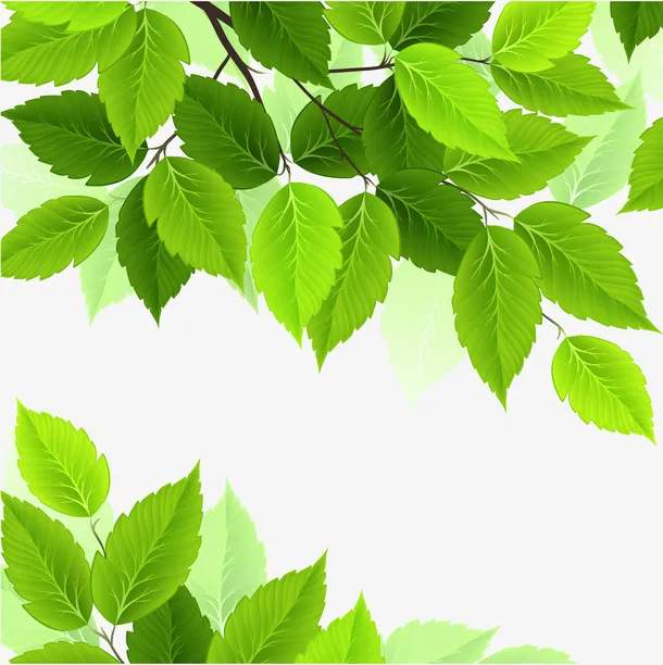 春季绿色树叶矢量素材免抠