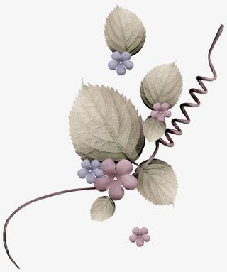 复古花纹装饰免抠