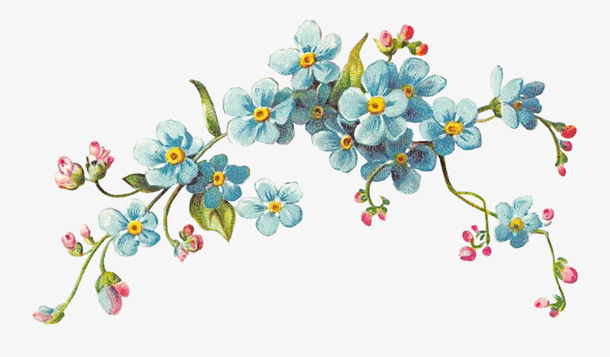 手绘卡通装饰花瓣花草装饰海报设免抠