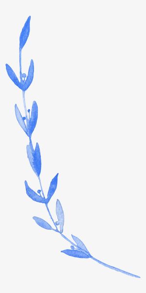 手绘叶子边框免抠