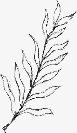 水墨花朵元素73免抠