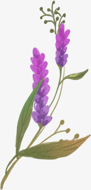 手绘水彩夏季花朵插画免抠