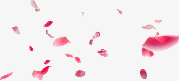 粉色梦幻漂浮婚礼花瓣免抠