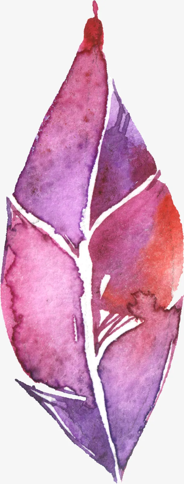 花卉图片素材鲜花花卉免抠