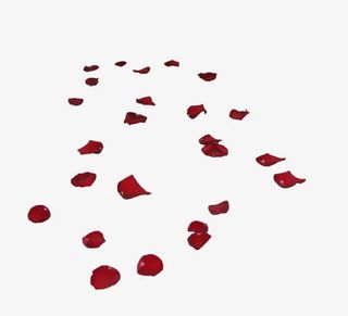 情人节妇女节三八节花瓣免抠