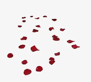 情人节妇女节三八节花瓣免抠