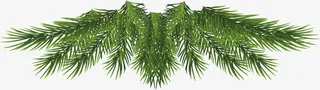 矢量图绿色的柏树枝免抠