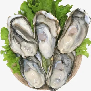 鲜嫩蛤蜊素材图片免抠