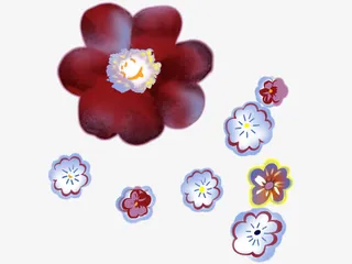 手绘红色小花免抠