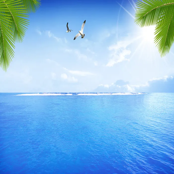 大气对称树叶背景高清