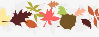秋天的落叶矢量图片免抠