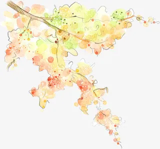 清新手绘小树枝免抠