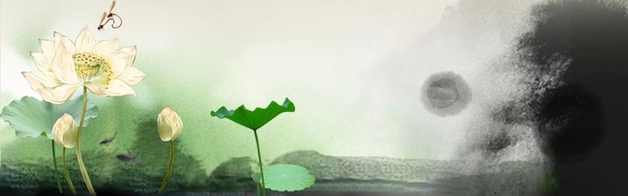 清荷莲花中国古风背景高清