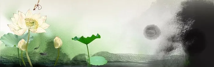 清荷莲花中国古风背景高清