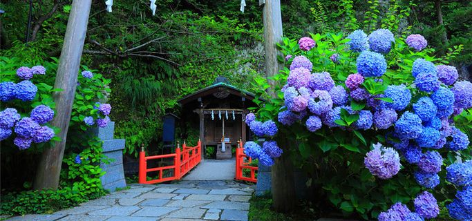 欧式清新花海风景背景高清