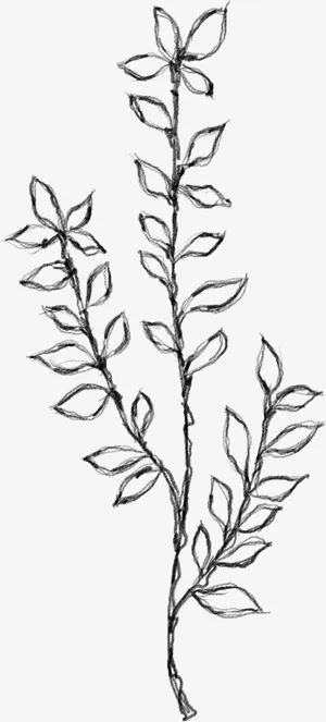 水墨花朵元素52免抠