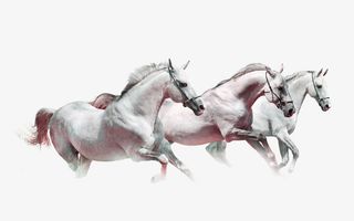 白色简约马群装饰图案免抠