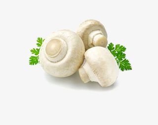 新鲜的圆蘑菇免抠