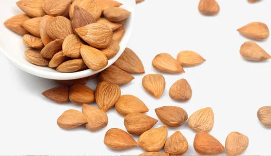 洒落的杏仁肉免抠 洒落的杏仁肉免抠