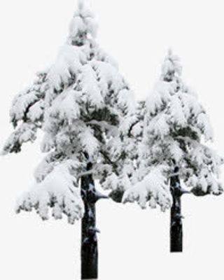 冬季冰雪大树景观免抠