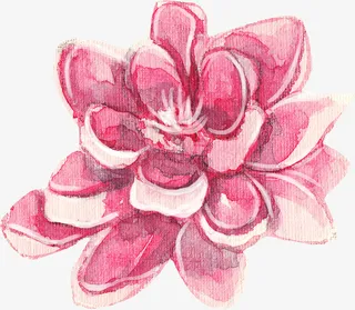 手绘粉色花朵装饰免抠