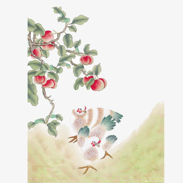花鸟图免抠