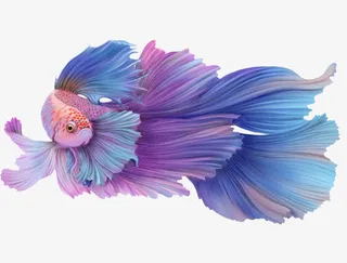 彩色手绘鱼儿免抠